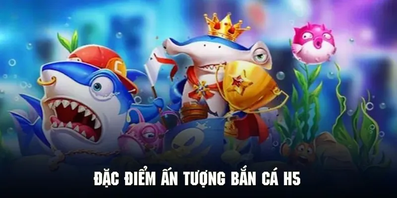 Tổng hợp các đánh giá về những ưu điểm ấn tượng của săn cá H5