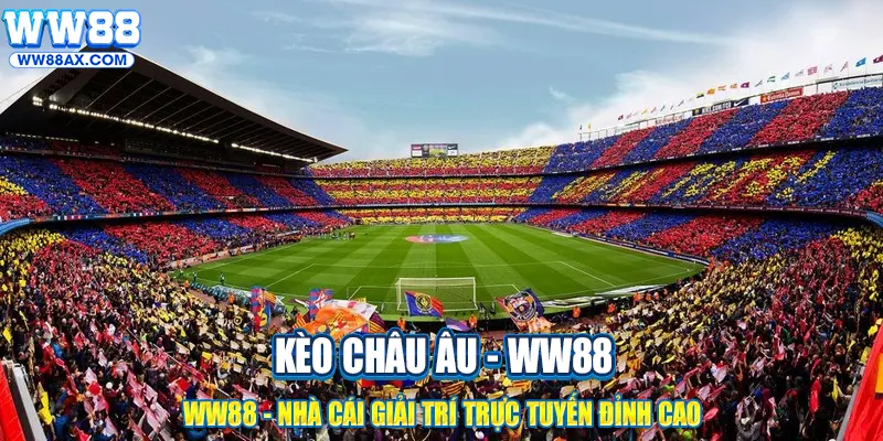 Cách đọc tỷ lệ kèo sao cho đúng