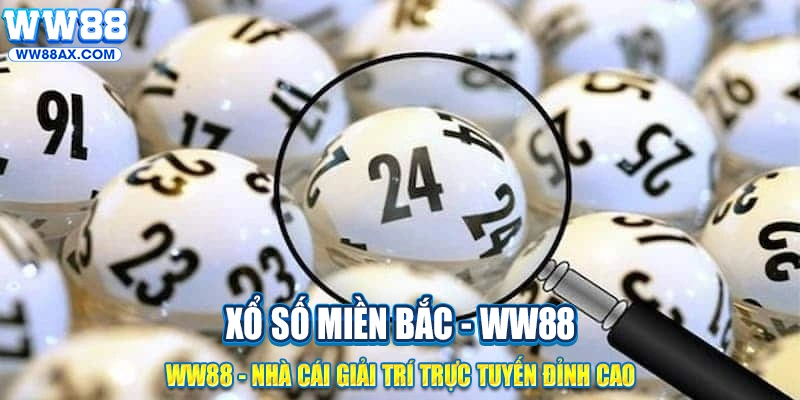 Cách tra cứu kết quả nhanh chính xác