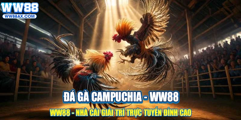 Đá gà Campuchia